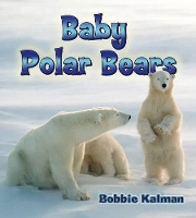 Book Cover for Baby Polar Bears by Bobbie Kalman