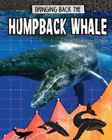 Book Cover for Bringing Back the Humpback Whale by Kelly Spence