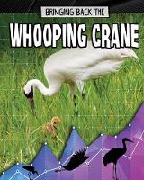 Book Cover for Bringing Back the Whooping Crane by Rachel Stuckey