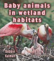 Book Cover for Baby Animals in Wetland Habitats by Bobbie Kalman