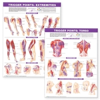 Book Cover for Trigger Point Chart Set: Torso & Extremities Lam by Anatomical Chart Company