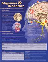 Book Cover for Migraines and Headaches Anatomical Chart by Anatomical Chart Company