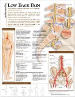 Book Cover for Understanding Low Back Pain Anatomical Chart by Anatomical Chart Company