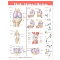 Book Cover for Athletic Injuries of the Knee Anatomical Chart by Anatomical Chart Company