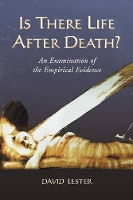 Book Cover for Is There Life After Death? by David Lester