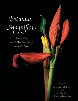 Book Cover for Botanica Magnifica: Portraits of the World's Most Extraordinary Flowers and Plants by Jonathan Singer