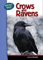 Book Cover for Ravens and Crows by James Bradley