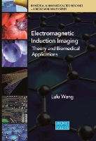 Book Cover for Electromagnetic Induction Imaging by Lulu Wang