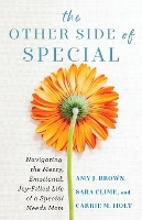 Book Cover for The Other Side of Special – Navigating the Messy, Emotional, Joy–Filled Life of a Special Needs Mom by Amy J Brown, Sara Clime, Carrie M Holt