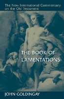 Book Cover for Book of Lamentations by John Goldingay