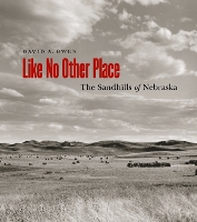 Book Cover for Like No Other Place by David Owen