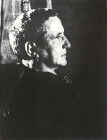 Book Cover for Gertrude Stein Remembered by Linda Simon