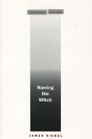 Book Cover for Naming the Witch by James Siegel