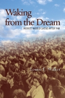 Book Cover for Waking from the Dream by Louise E. Walker