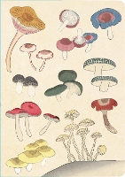 Book Cover for Healing Mushrooms Lined Paperback Journal by Tuttle Studio