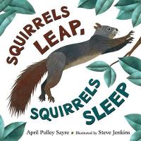 Book Cover for Squirrels Leap, Squirrels Sleep by April Pulley Sayre