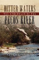 Book Cover for Bitter Waters by Patrick Dearen