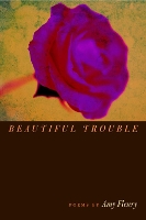 Book Cover for Beautiful Trouble by Amy Fleury