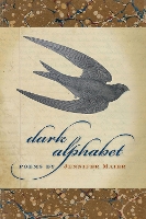 Book Cover for Dark Alphabet by Jennifer Maier