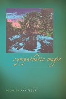 Book Cover for Sympathetic Magic by Amy Fleury