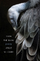 Book Cover for Even the Dark by Leslie Williams