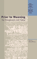 Book Cover for Prior to Meaning by Steve McCaffery