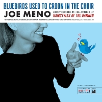Book Cover for Bluebirds Used to Croon in the Choir by Joe Meno