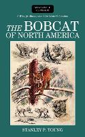 Book Cover for The Bobcat of North America by Stanley P Young