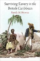 Book Cover for Surviving Slavery in the British Caribbean by Randy M Browne