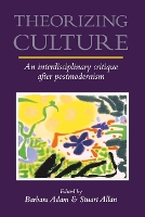 Book Cover for Theorizing Culture by Barbara Adam