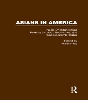 Book Cover for Asian American Issues Relating to Labor, Economics, and Socioeconomic Status by Franklin Ng