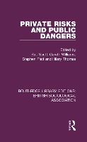 Book Cover for Private Risks and Public Dangers by Stephen Platt
