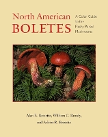 Book Cover for North American Boletes by Alan E. Bessette