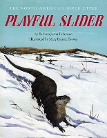 Book Cover for Playful Slider by Barbara Juster Esbensen