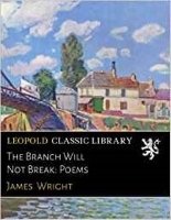 Book Cover for The Branch Will Not Break by James Wright