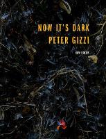 Book Cover for Now It's Dark by Peter Gizzi