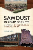 Book Cover for Sawdust in Your Pockets by Eric Medlin