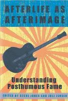 Book Cover for Afterlife as Afterimage by Steve Jones