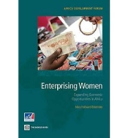 Book Cover for Enterprising Women by Mary Hallward-Driemeier