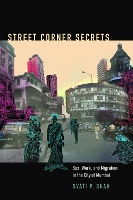 Book Cover for Street Corner Secrets by Svati P Shah