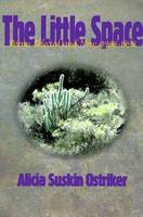 Book Cover for Little Space, The by Alicia Suskin Ostriker