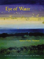 Book Cover for Eye of Water by Amber Flora Thomas