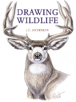 Book Cover for Drawing Wildlife by J.C. Amberlyn