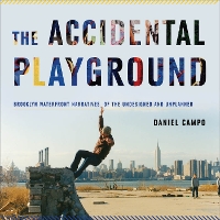 Book Cover for The Accidental Playground by Daniel Campo