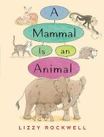 Book Cover for A Mammal Is an Animal by Lizzy Rockwell