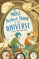 Book Cover for The Most Perfect Thing in the Universe by Tricia Springstubb