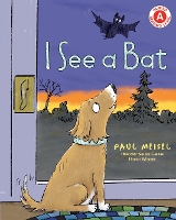 Book Cover for I See a Bat by Paul Meisel