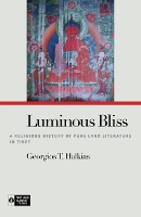 Book Cover for Luminous Bliss by Georgios T. Halkias