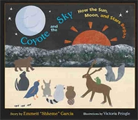 Book Cover for Coyote and the Sky by Emmett 