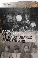 Book Cover for Gangs of the El Paso-Juarez Borderland by Mike Tapia